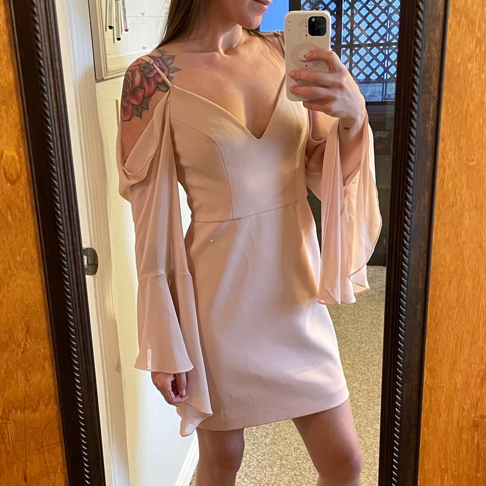 BCBG Blush Dress